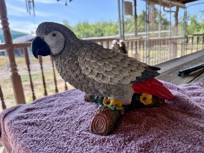 Large Unique African Grey Parrot Bird Resin Statue Figurine Flower Pot Decor