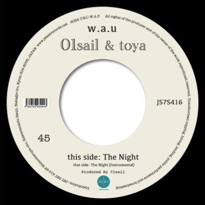 01sail & Toya/The Night JS7S416 New 7''