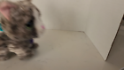 Video 1 von 1