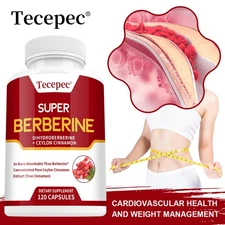 Super Berberine Capsules Promote Fatburning Intestinal Heath Antioxidant US