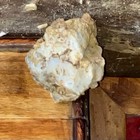 Caramel Quartz with Native Gold ore and effigies carved on all sides 1.2lb 3.7” — photo 4