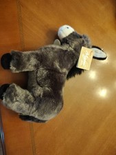Aurora Miyoni Tots Donkey Foal