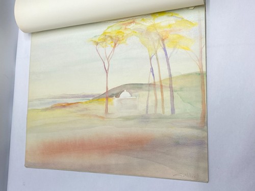 Vivian Gottlieb Watercolor Folio "Airs, Waters, Places" Cape Town South Africa - Picture 15 of 19