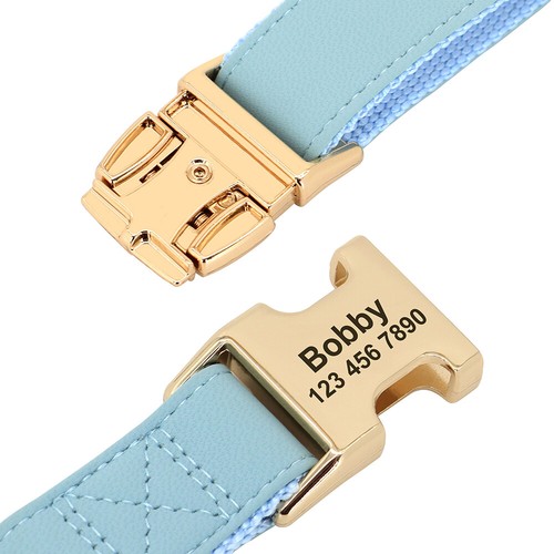 Personalisiertes Hundehalsband und Blei Set Haustier Welpe Name Nummer Ausweis Etikett graviert S M L - Bild 6 von 16