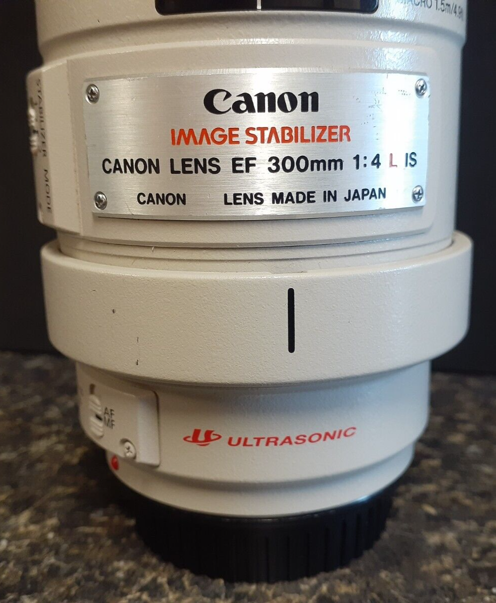 CANON　ウルトラソニック　EF レンズ 単焦点　EF 300mm 1:4 L 手軽な望遠単焦点レンズ「Canon EF 300mm F4L IS USM」 | 勇