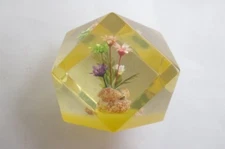 Vintage Facet Lucite Paperweight w/ Flowers Shell Inside