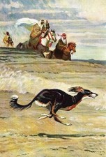 Saluki - Vintage Color Dog Art Print - MATTED