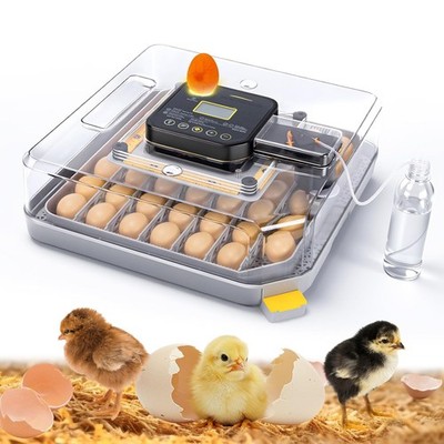 48 Egg Incubator Automatic Turning Humidity Control