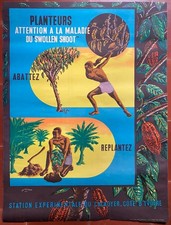 Plakate Pflanzer Achtung Geschwollene Triebe Kakaobaum Afrika C&ocirc;te d'Ivoire 50er