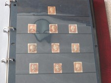 Very High Cat QV 1d red & 2d blue perf stars inc covers in an SG album - rf32