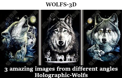 3D linsenförmiges Bild/Poster Kunstwerk einzigartige Wanddekoration holographische Bilder - 2er-Pack - Bild 13 von 17