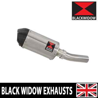 ZX10R ZX-10R E8F E9F FAF 2008-2010 Auspuff Endtopf Endtopf Oval 200ST