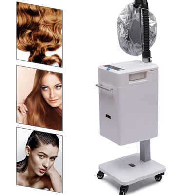 Pro 500W Anion Hair Color Processor Nano Hair Steamer Beauty Salon Spa Equipment