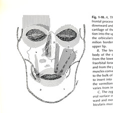 Vintage Reanimation of The Paralyzed Face Boo...