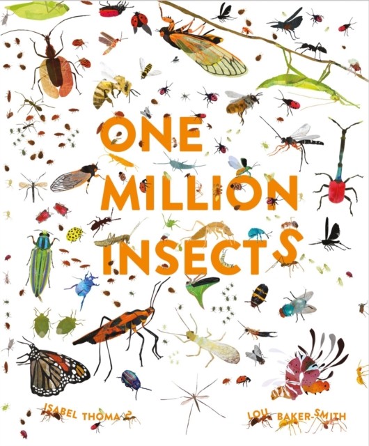 One Million Insects by Isabel Thomas (Hardback Book) - Image 4