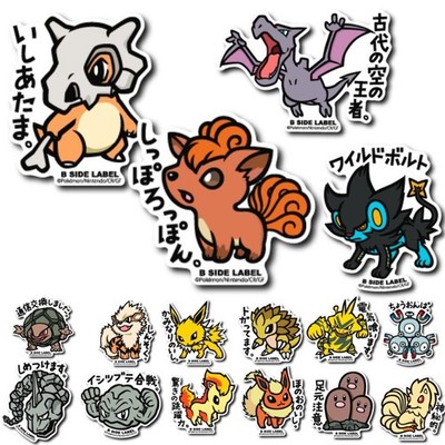 Pokemon Fire, Electric, Ground, Rock & Steel Types B-SIDE LABEL Sticker