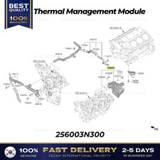 ⭐Genuine⭐ Thermal Management Module 256003N300 for Kia Carnival