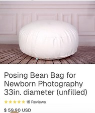 Newborn Baby 33  Posing Bean Bag Infant Poser Pillow Photography Props UNFILLED