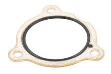 Engine Variable Valve Timing (VVT) Adjuster Seal