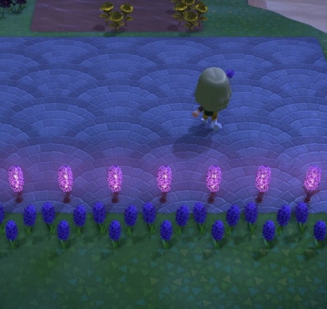 How to get purple hyacinth acnh