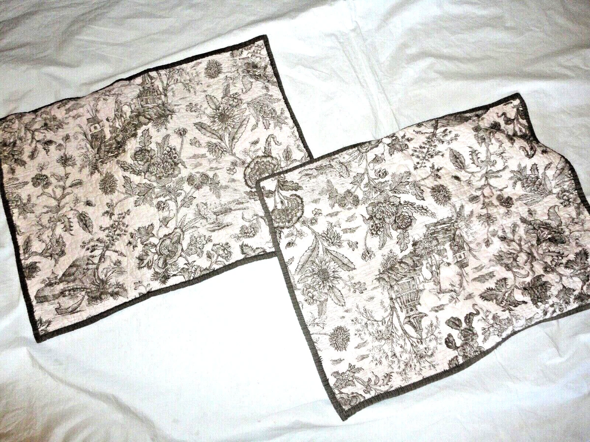 TARGET HOME TAUPE CREAM TOILE ASIAN FLORAL 2 STANDARD PILLOW