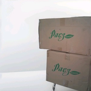 Pacz Coco Peat Grow Blocks 1100g Brick for Hydroponic Flowers Herbs Fruit