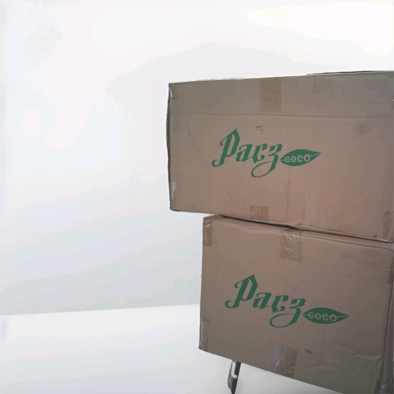 Pacz Coco Peat Grow Blocks 1100g Brick for Hydroponic Flowers Herbs Fruit