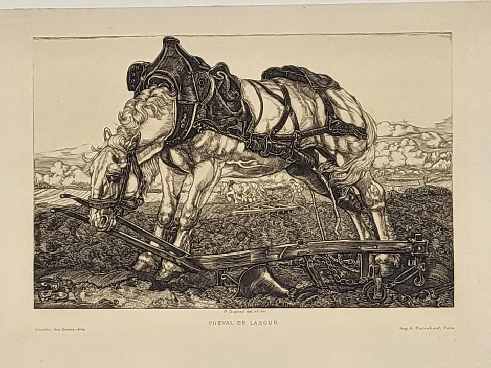 Pieter DUPONT (1870-1911) - Cheval de labour - Eau-forte originale - Photo 2/3