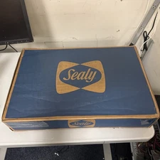 Sealy 24x16x5.75 memory foam clean pillow w/cover