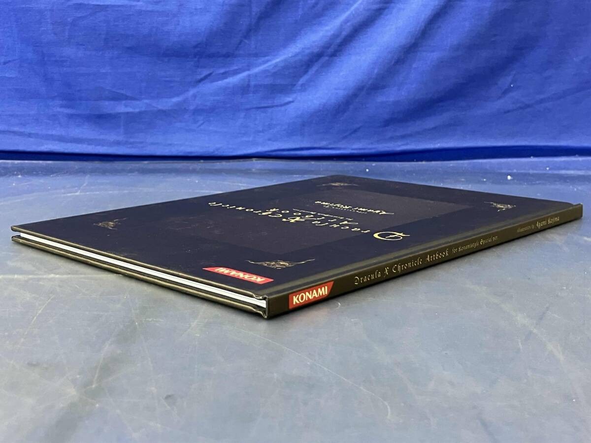 Ayami Kojima Dracula X Chronicle Art Book Castlevania Akumajo