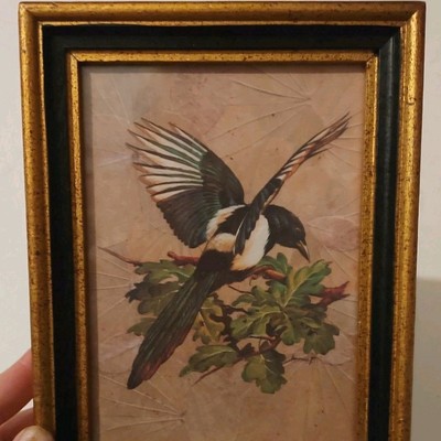Vintage Magpie Print Of Basil Ede Bird Painting, Birds Of Town And Village 60's 