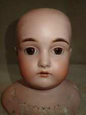 Antique German Kestner 166 Bisque Doll Head 6 1/2" Intact Pate
