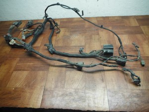 harley-davidson 2005 sportster 1200 883 MAIN ENGINE WIRING HARNESS