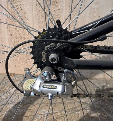 Bici mountain bike: i migliori modelli