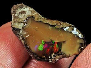 Noir Éthiopien Opal Pierre Précieuse 2.90 Cts. Pear Black Cabochon Welo