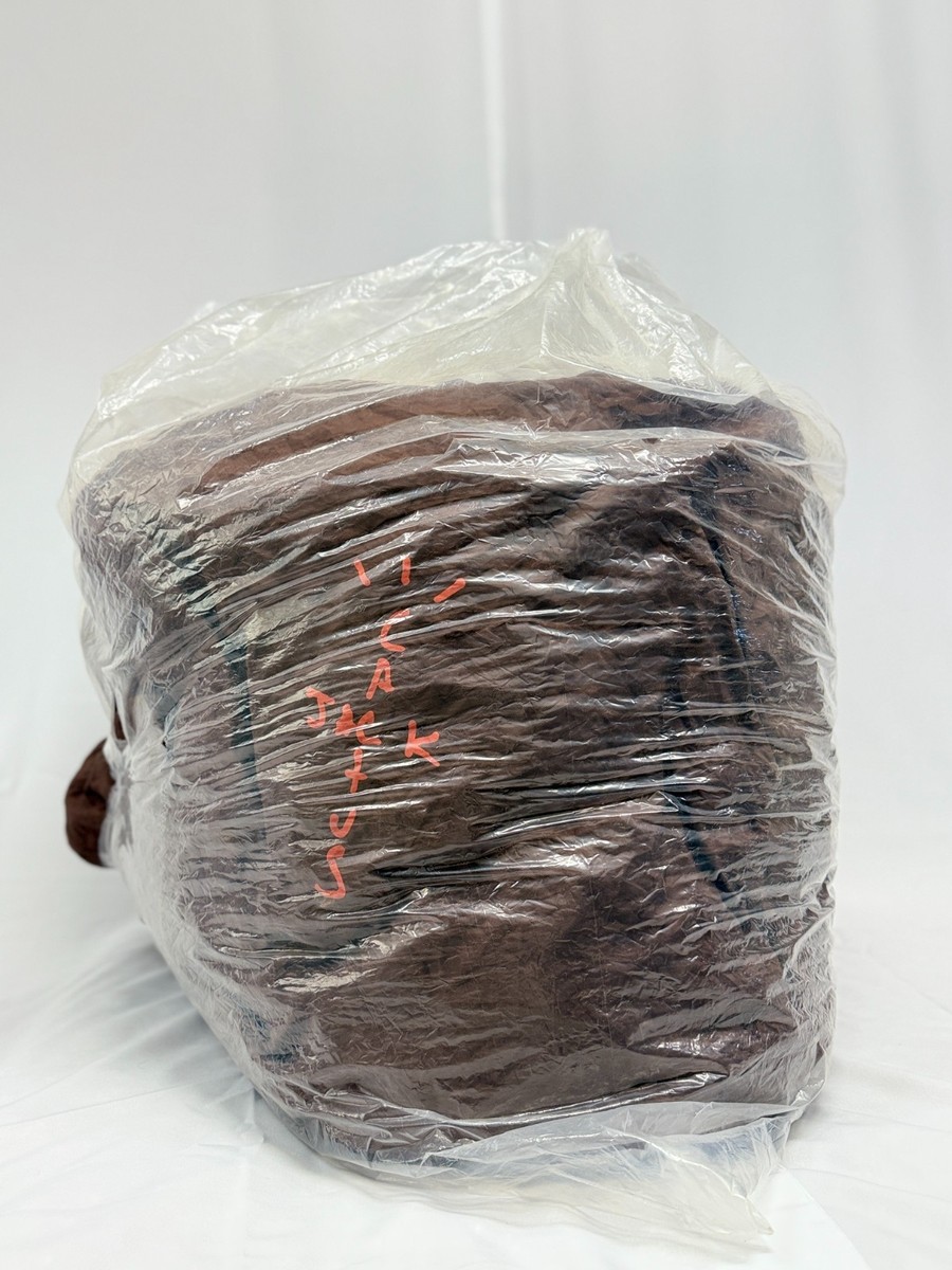 ✓ AUTHENTIC 🌵🔥 CACTUS JACK TRAVIS SCOTT BEAN BAG 🪑 Limited