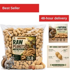 Office Roast Raw Peanuts in Shell 2 lb Bag   Healthy Snack for Wildlife