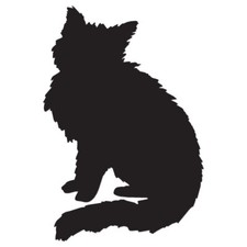 Cat Kitten Fluffy - Vinyl Decal Sticker - Multiple Color Sizes - ebn151