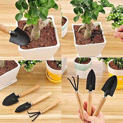 AKOAK 1 Set Garden Tools Set of 3 Mini Garden Tools - Small Spade/Rake/Spatula 