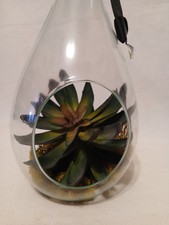 Hanging Faux Floral Terrarium - 12"