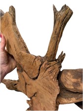 8 lbs Manzanita Root Spread: Aquarium Epoxy Crafts - Hoe Decor