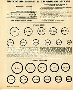 Shotgun Bore Diameter Chart