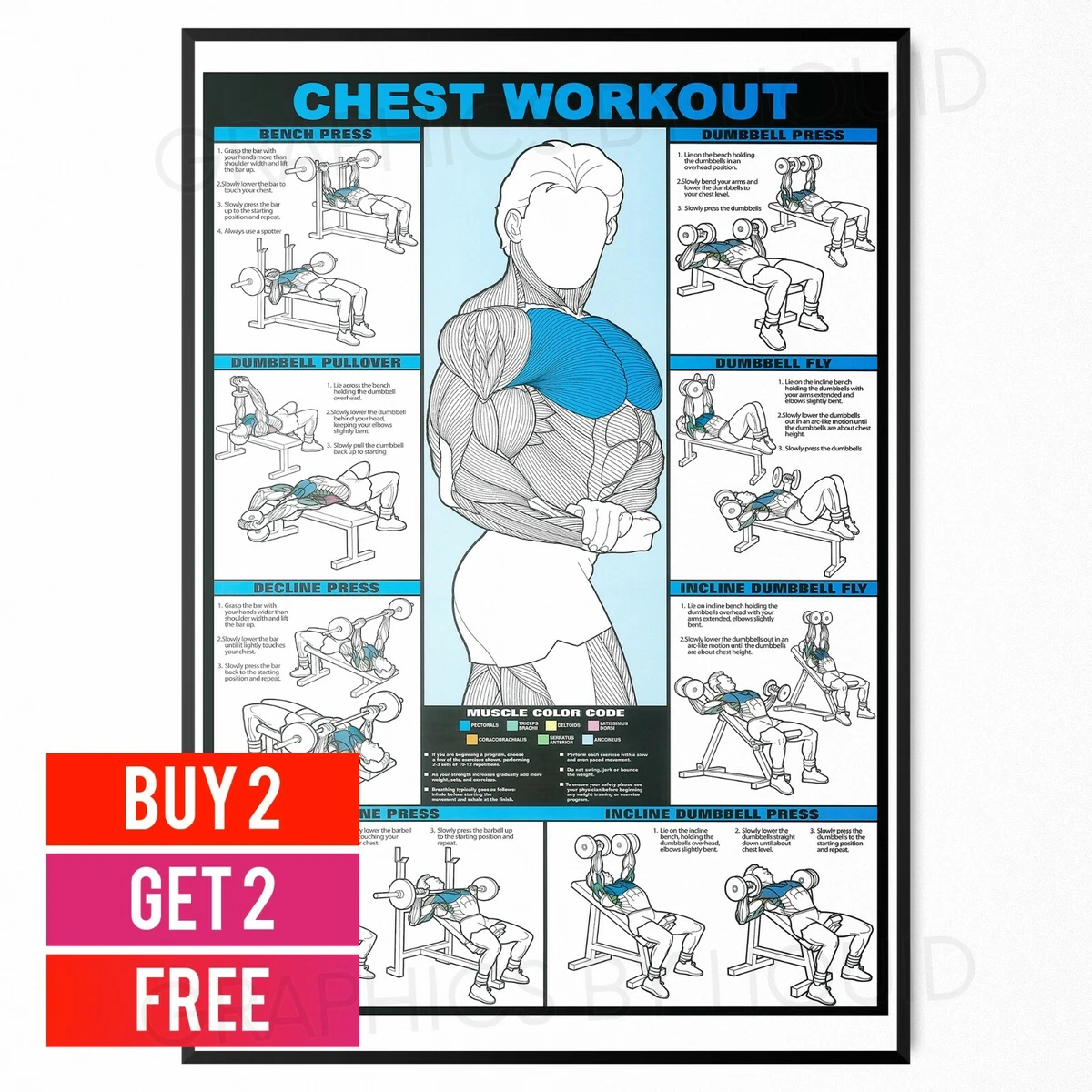 CHEST WORKOUT Professional Gym Fitness Wall Chart POSTER A5 A4 A3