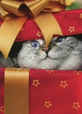 Wishing you holiday filled with happy surprises AVANTI CAT in BOX CHRISTMAS CARD