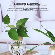 Plants Propagation Station Hydroponic Glass Container Vase Jar Decoration Fo NEW