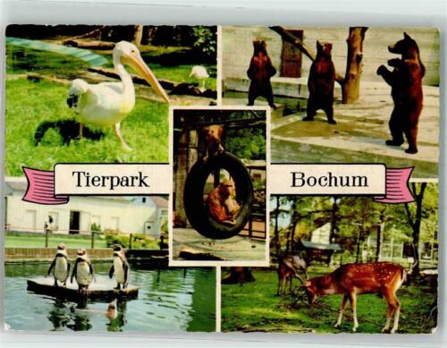 39857790 - 4630 Bochum zoo penguins pelican Baeren deer monkeys Bochum - Picture 1 of 2