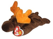 CT Ty Beanie Baby - CHOCOLATE the Moose 9 Inch MWCT - Stuffed Animal Toy