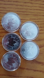 5 Pièces Monnaie MAPLE LEAF SILVER 1 oz Argent Pur 2019 ELIZABETH II Mint 5$