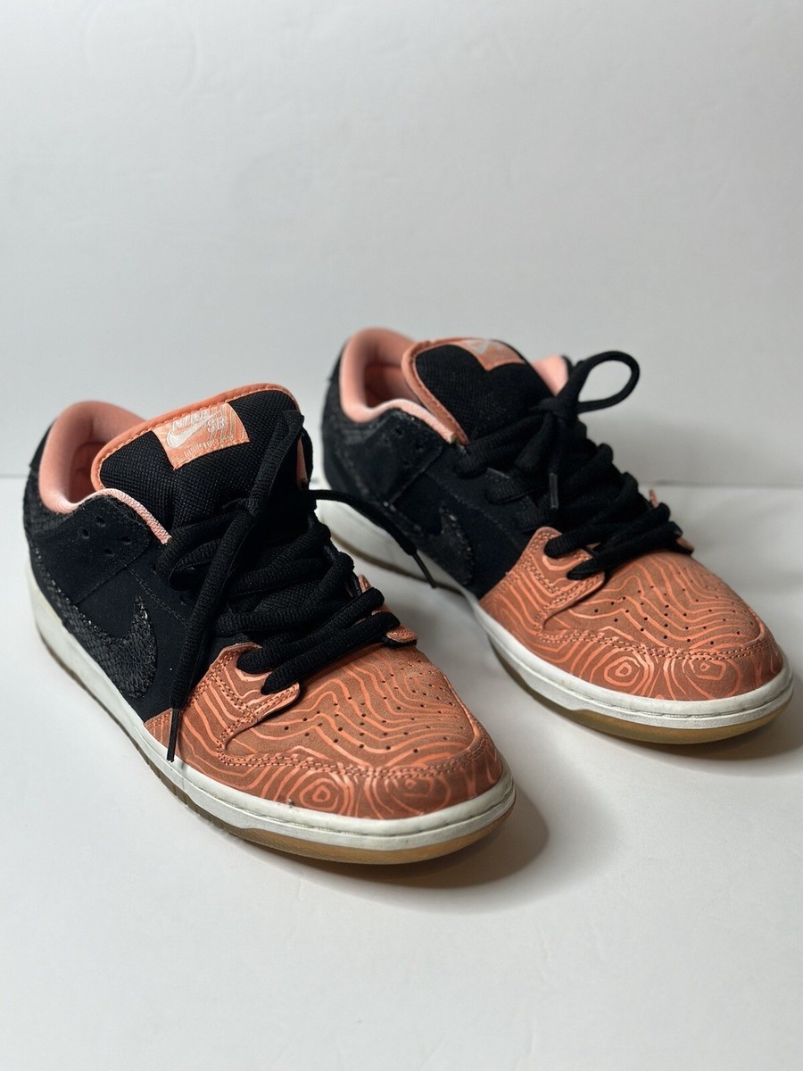 Size 10 Nike SB Dunk Low Pro x Premier fish ladder 2015