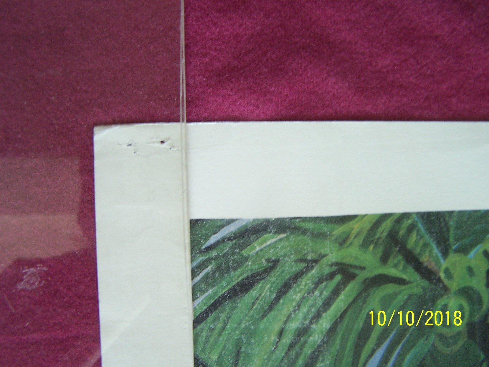Bild 6 von 6